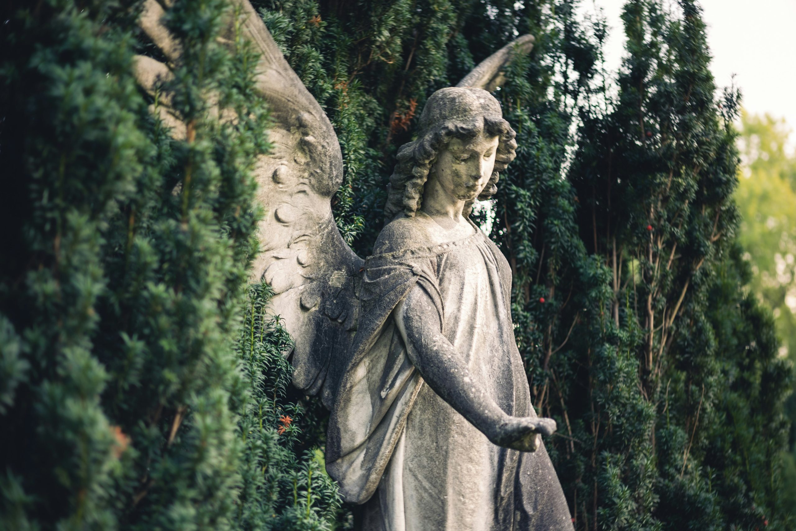 Anjo da Guarda- imagem mostra estátua de anjo em uma parede com grama